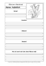 Pflanzensteckbriefvorlage-Huflattich-SW.pdf